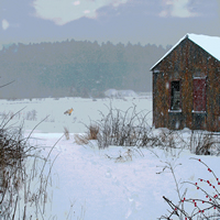 Winter Scene